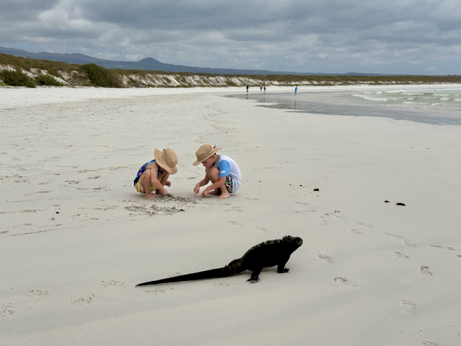 Galapagos with Kids: How to Plan It & Why It’s Great for All Ages